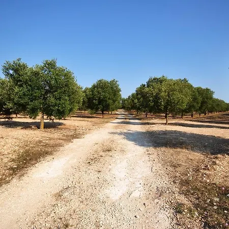 Tenuta Kyrios Borgagne