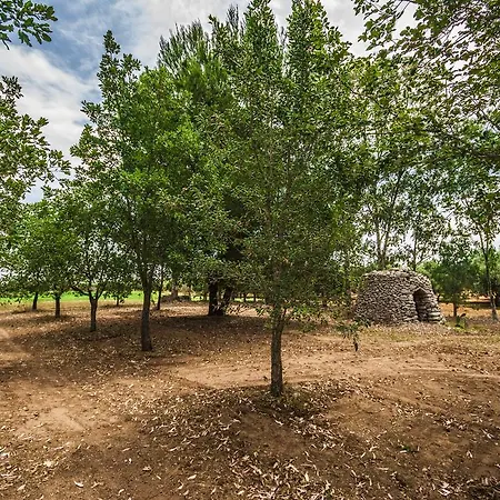 Tenuta Kyrios Borgagne