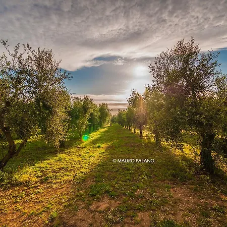 Alloggio per agriturismo Tenuta Kyrios