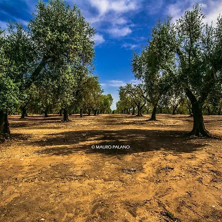 Farma Tenuta Kyrios